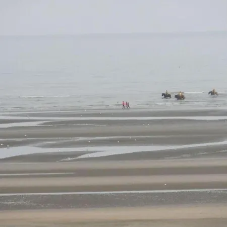 Nieuwpoort Near Promenade, Cleaning Included Appartement